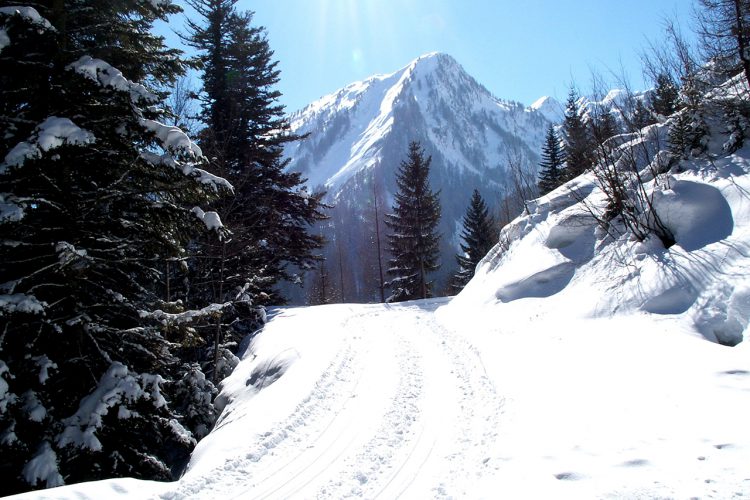 Ovronnaz / Mayens de Chamoson