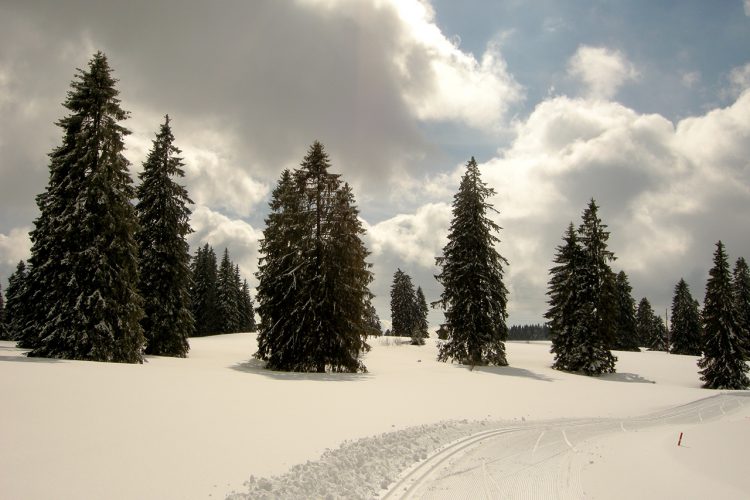 Les Arêtes / Les Foulets / La Chaux-de-Fonds