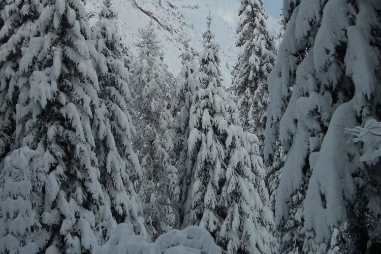 La Fouly / Val Ferret
