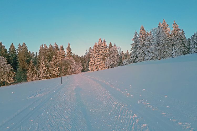 Pouillerel / La Chaux-de-Fonds