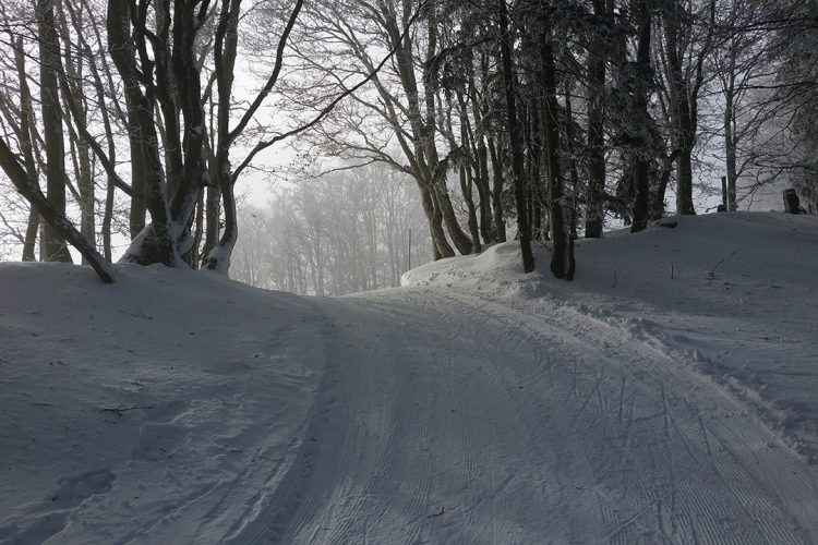 Les Prés-d&rsquo;Orvin / Chasseral