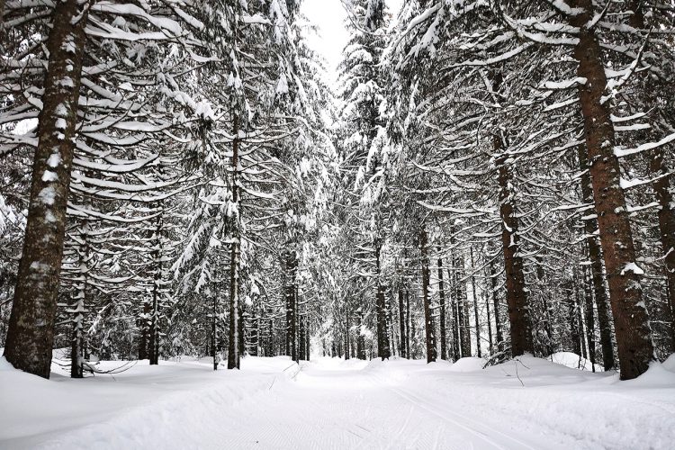 Les Charbonnières / Le Lieu