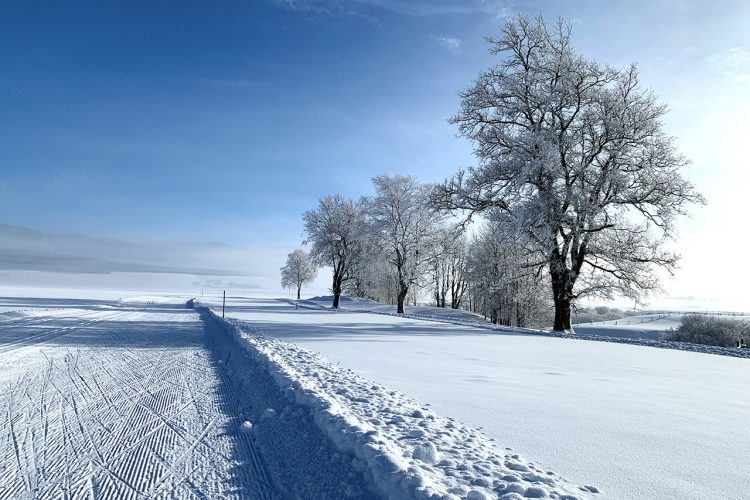 Les Ponts-de-Martel / La Tourne