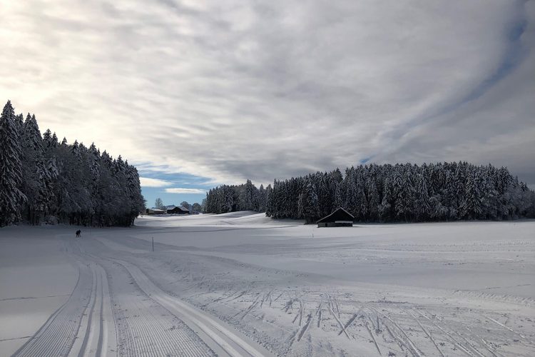 Le Crêt / Les Paccots